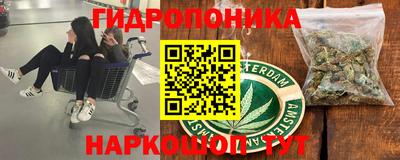 ПСИЛОЦИБИНОВЫЕ ГРИБЫ Заволжье