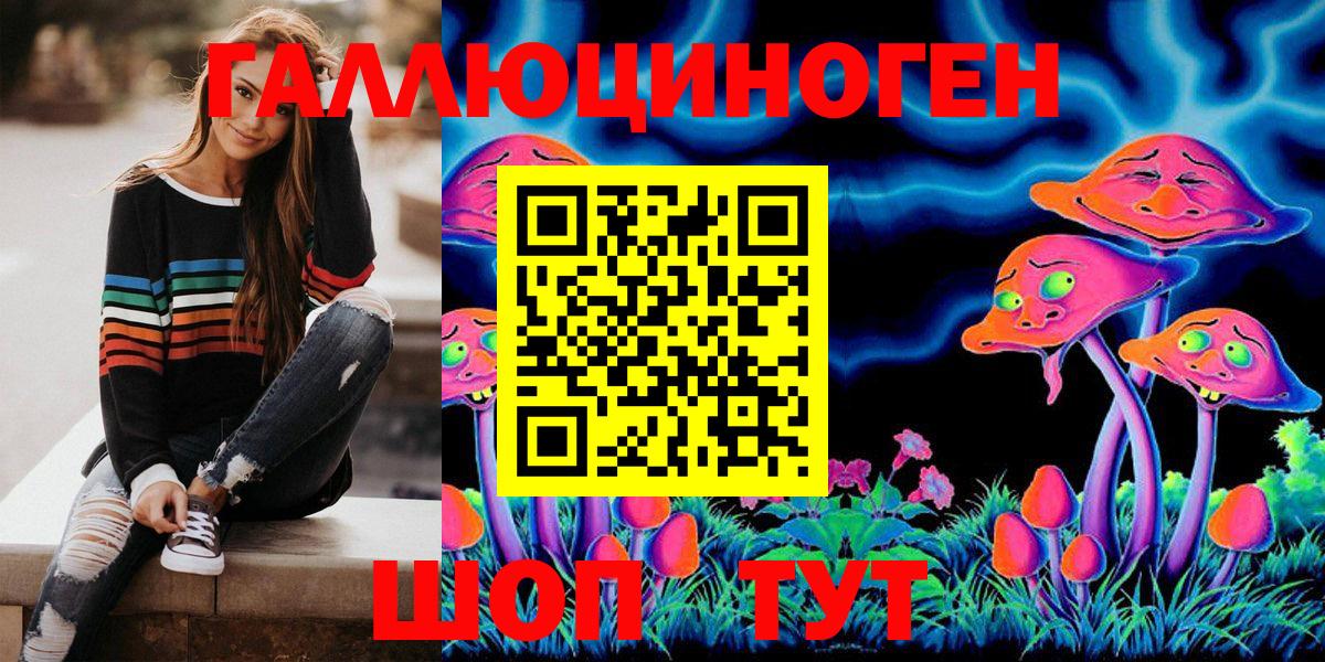 Псилоцибиновые грибы MAGIC MUSHROOMS  Псилоцибиновые грибы GOLDEN TEACHER  Вход с VPN  Новоалександровск 
