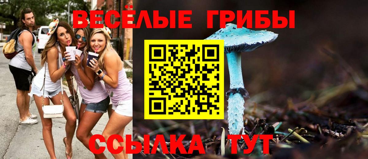 Галлюциногенные грибы мицелий Новоалександровск