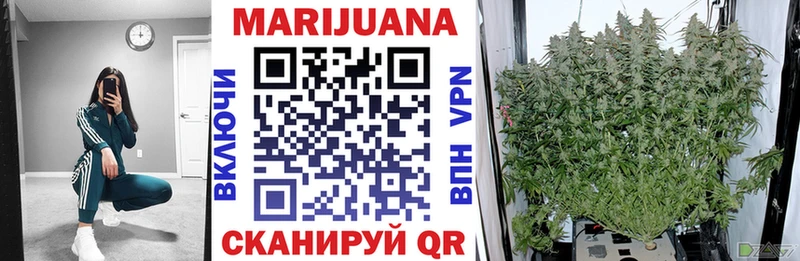 как найти закладки Новоалександровск Бошки Шишки семена